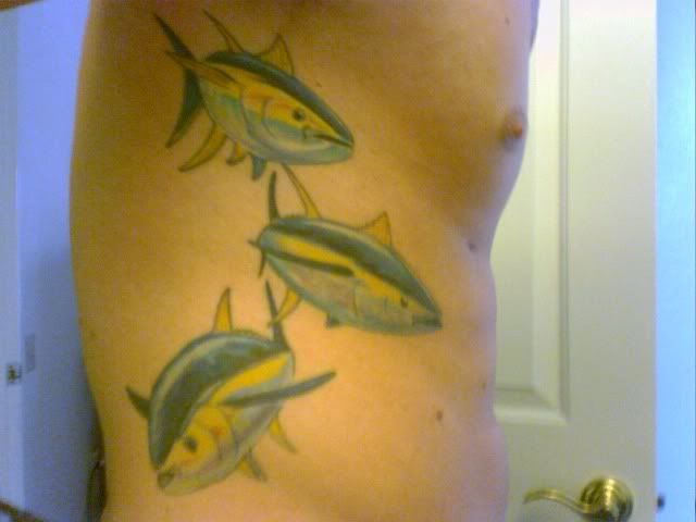 Yellow Tail Tattoo
