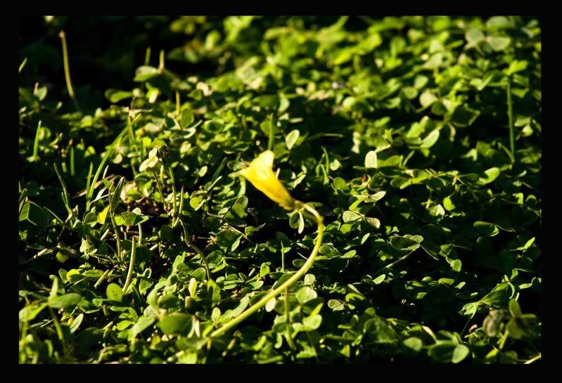 Signs of Spring