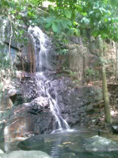 IMAG0056.jpg picture by bingsheng