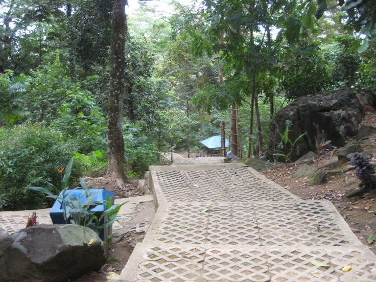 gunungbintandownhill.jpg picture by bingsheng