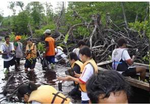 mangroveplanting.jpg picture by bingsheng