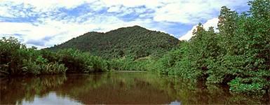 mountain.jpg picture by bingsheng