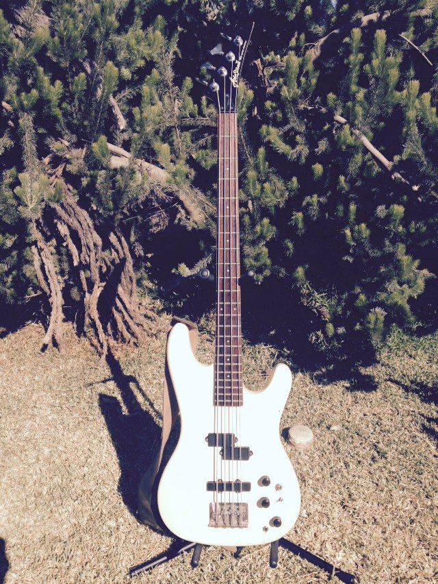 How the Fender Bass Changed the World The Tone Rooms