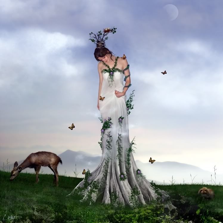 gallery miskis Gaial?t1237217470