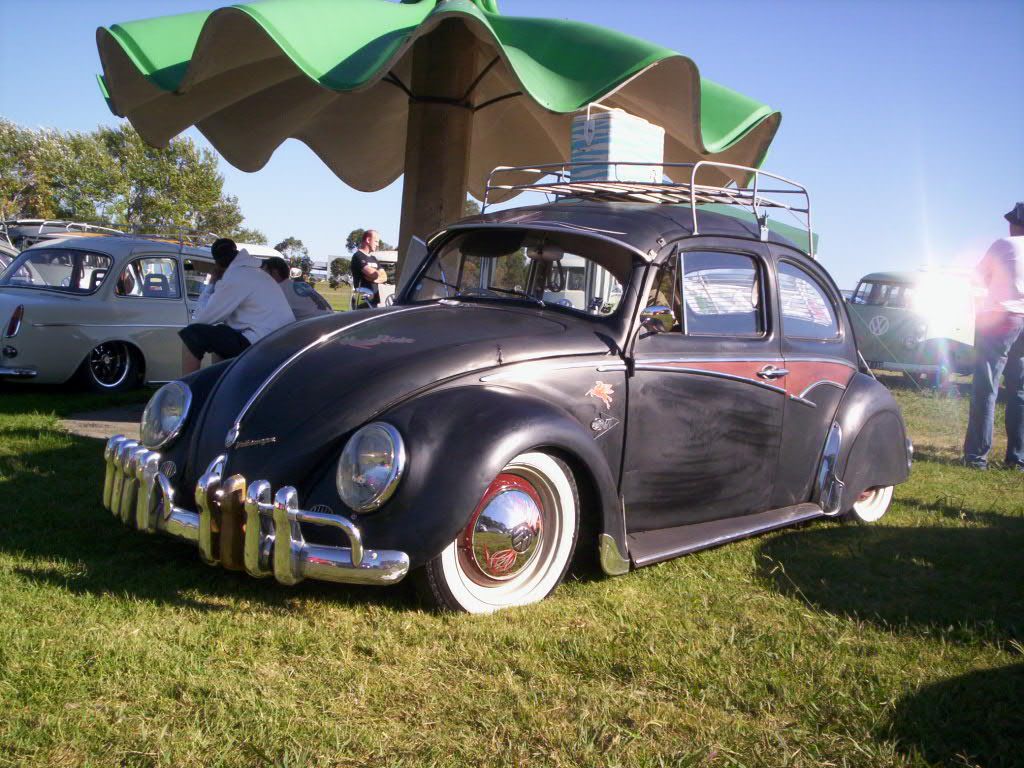 http://i62.photobucket.com/albums/h106/aussiebug/000_0664.jpg