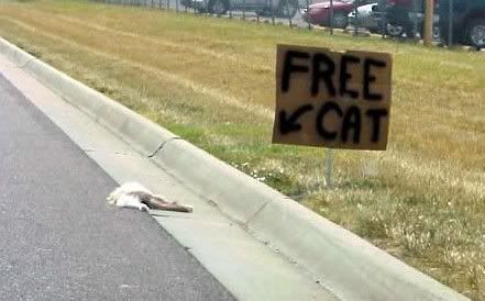 free-cat.jpg