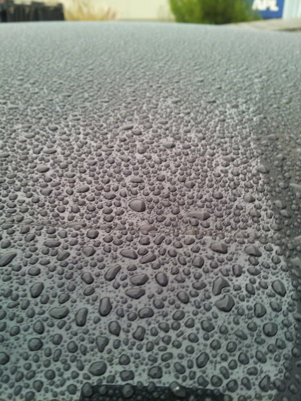 20121011_180845.jpg