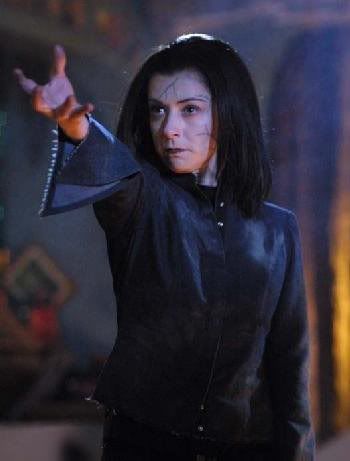 willow dark