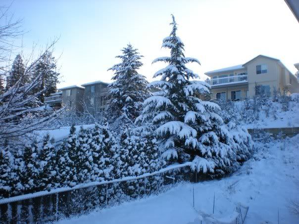 [Image: winter3.jpg]