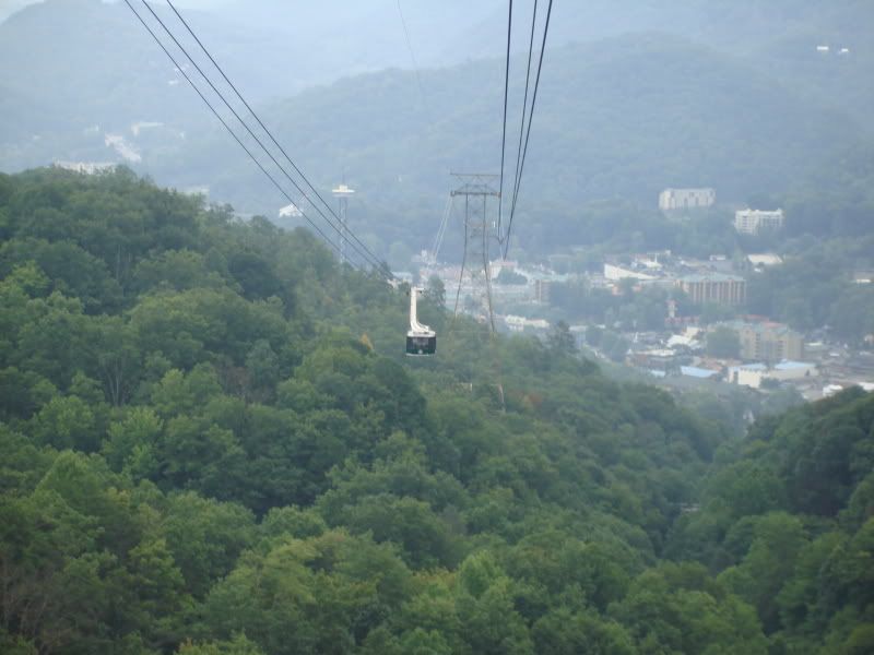 back down on the air tram