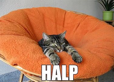 http://i62.photobucket.com/albums/h113/lonemtnwolf/halp.jpg