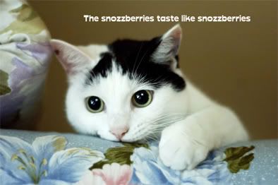 http://i62.photobucket.com/albums/h113/lonemtnwolf/snozberries.jpg