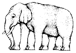 elephant.gif