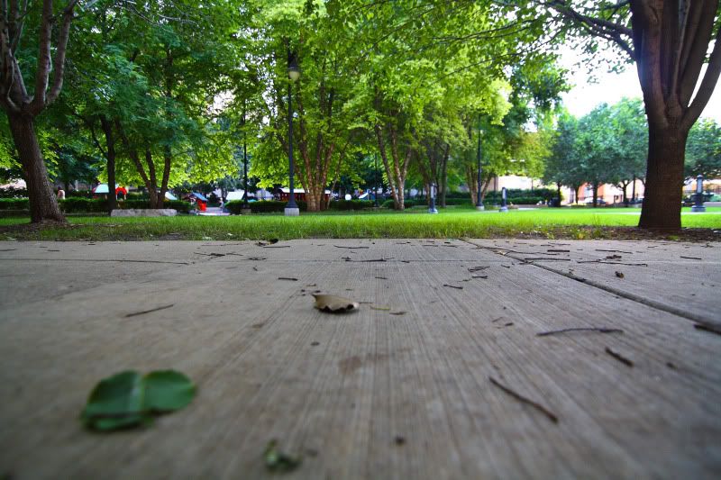 IMAGE: http://i62.photobucket.com/albums/h117/Artekka/Downtown1/Ground1.jpg