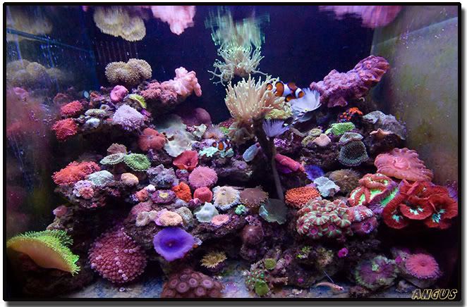 FTS080211.jpg