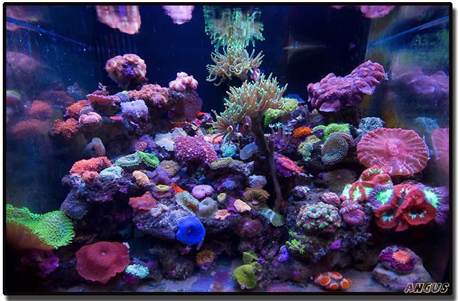 FTS080404.jpg