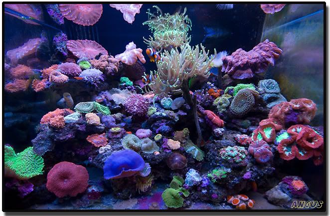 FTS080413.jpg