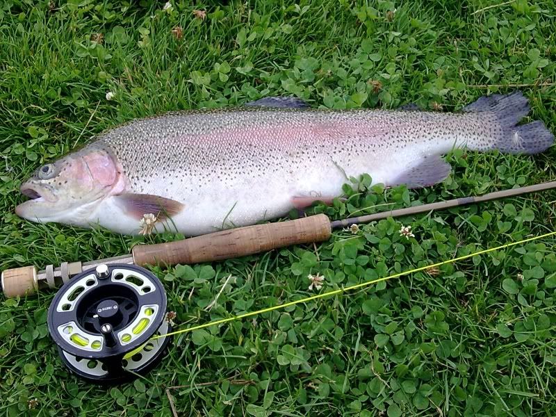 5lb10oz.jpg