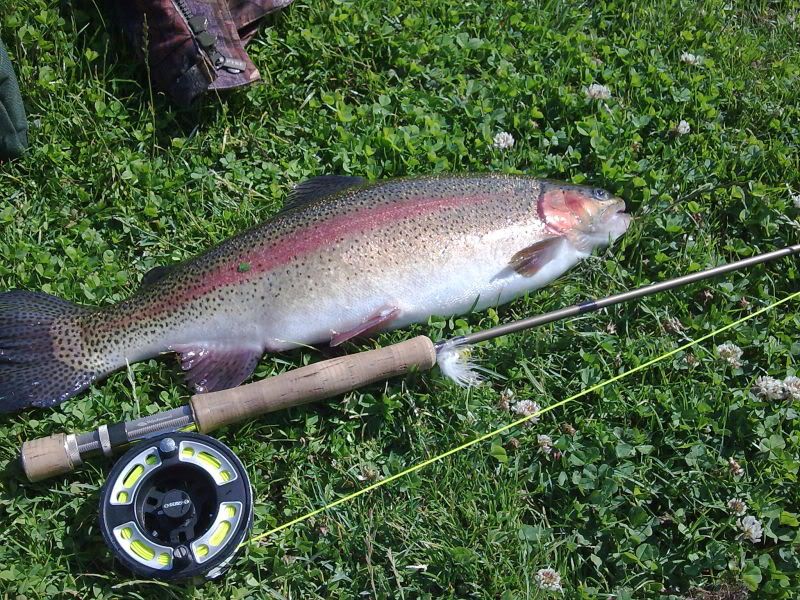 Image0033.jpg