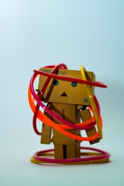 Danbo New