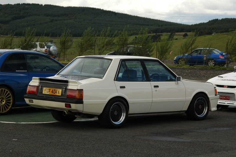 [Image: DSC_2618-1.jpg]