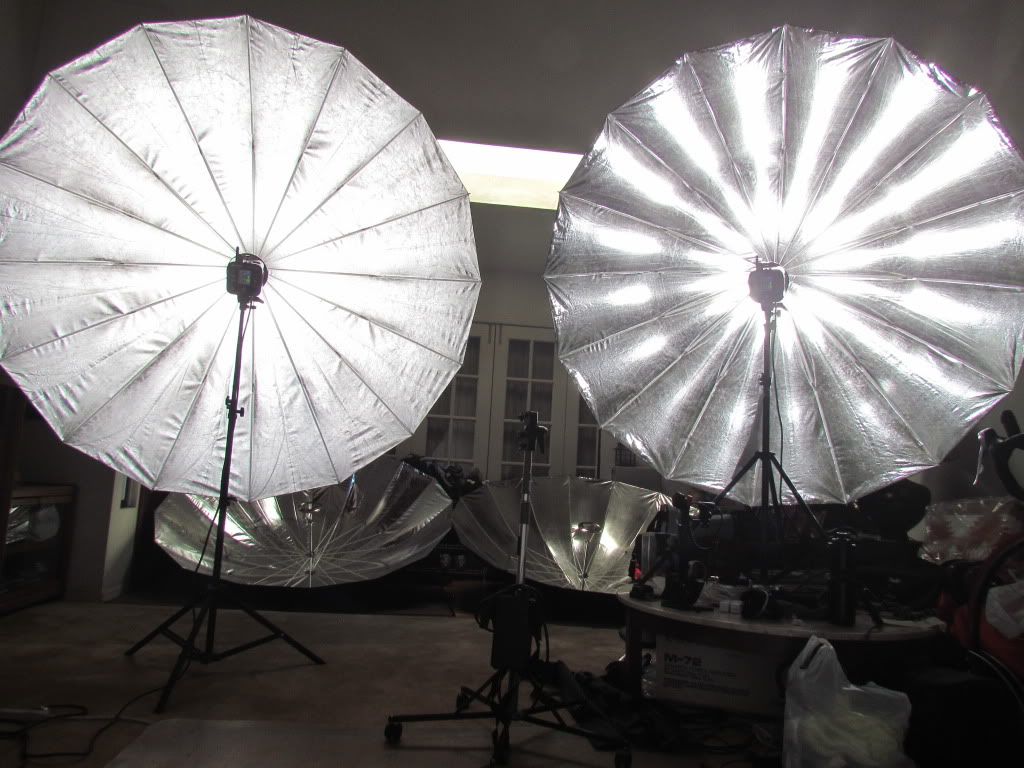 IMAGE: http://i62.photobucket.com/albums/h120/c2thew/PLM%20v2/Plm%20soft%20extreme%20and%20v1%2086%20silver%20comparison/IMG_0873.jpg