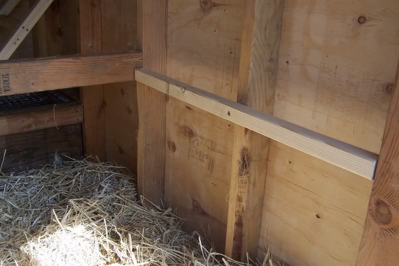 Skys The Limit Chicken Coop BackYard Chickens Community