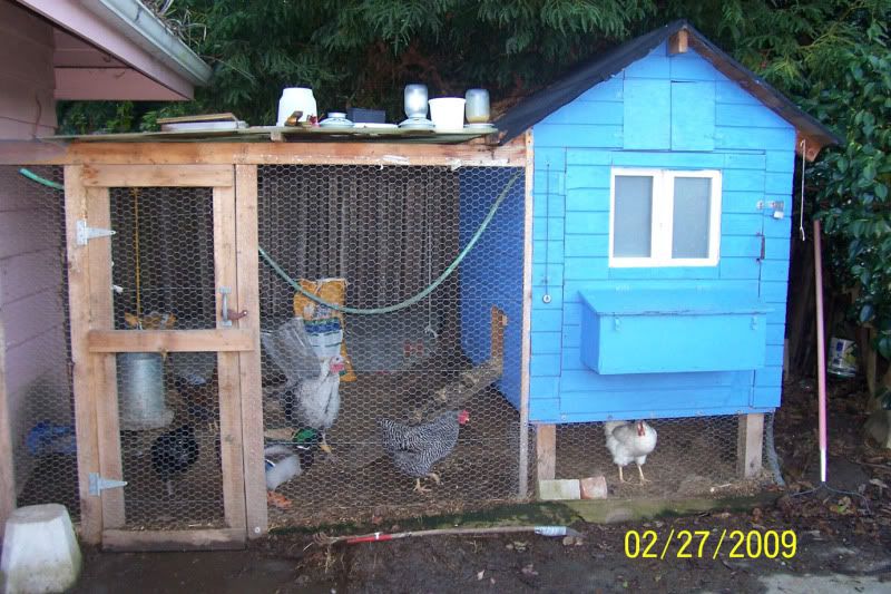 Skys The Limit Chicken Coop BackYard Chickens Community