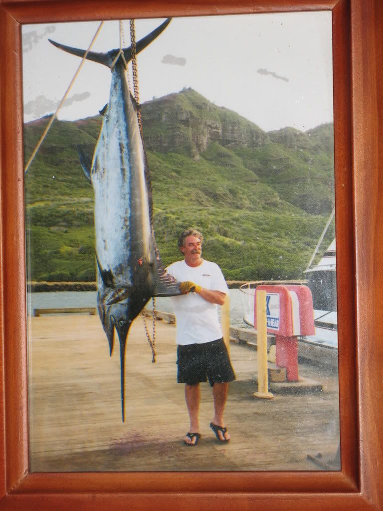 KauaiMarlin.jpg