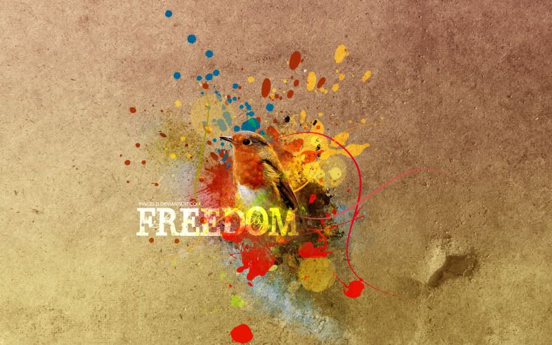 wallpaper freedom. freedom Wallpaper