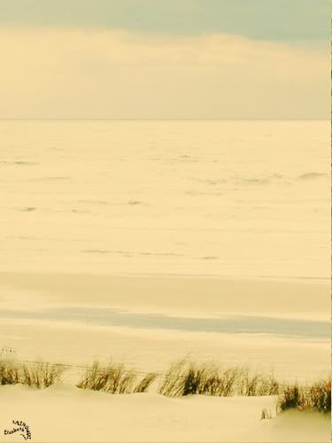 photo Fort Mahon Plage mer