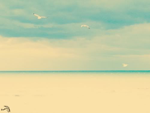 photo Fort Mahon Plage mer