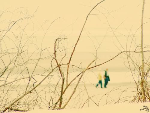 photo Fort Mahon Plage mer
