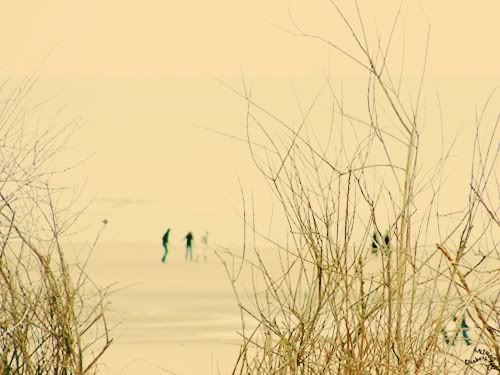 photo Fort Mahon Plage mer