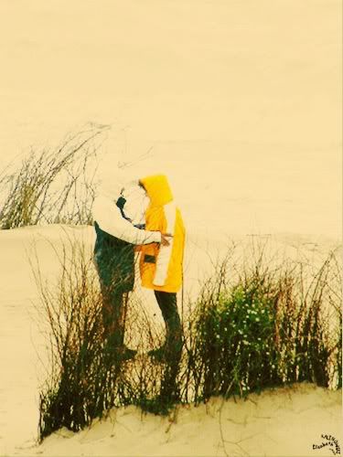 photo Fort Mahon Plage mer