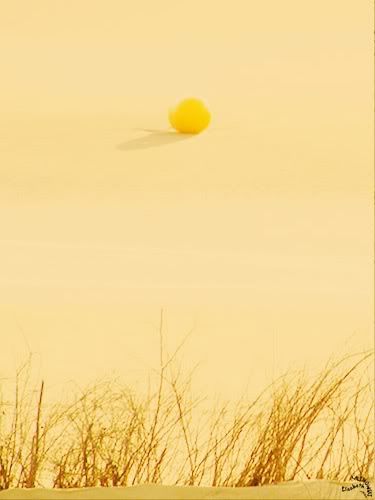 photo Fort Mahon Plage mer