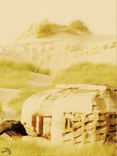 photo Fort Mahon Plage mer