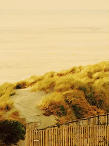 photo Fort Mahon Plage mer