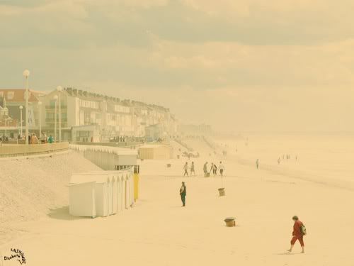 photo Fort Mahon Plage mer