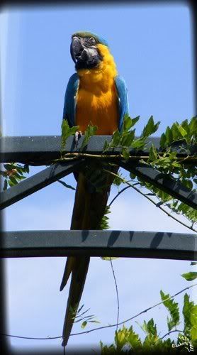 photo Parc Paradisio
