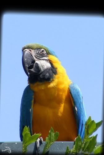 photo Parc Paradisio