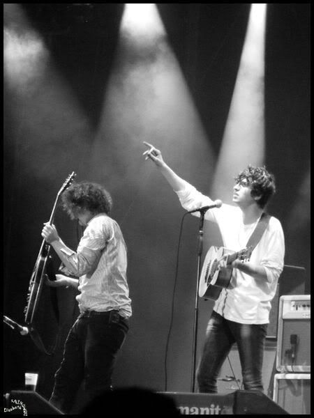 the Kooks