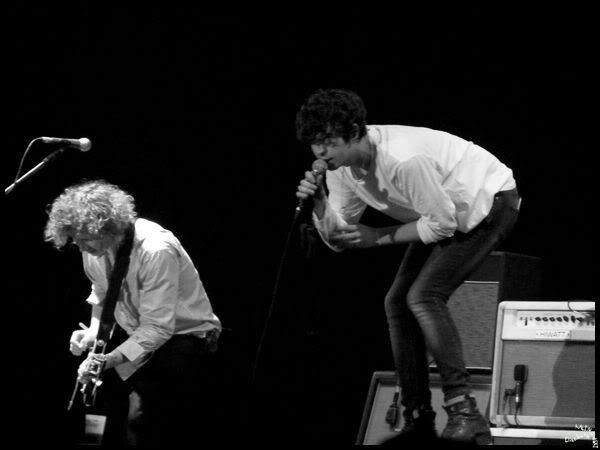the Kooks
