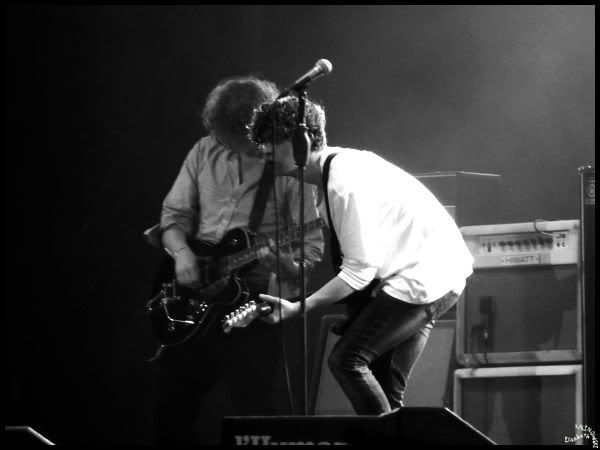 the Kooks