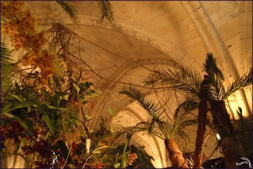 Abbaye de Vaucelles photo