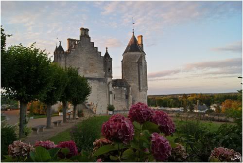 château et à la Collégiale Loches