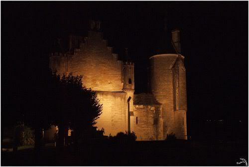 Loches le chateau la nuit dans la citadelle