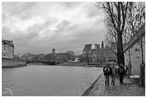 la Seine île saint louis