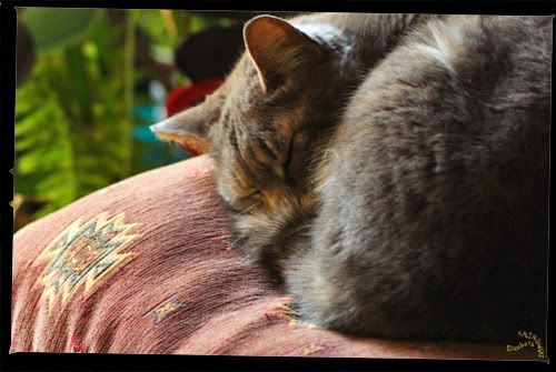 Tequila photo Liz Douce folie