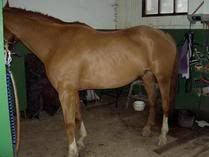 PICT3628.jpg